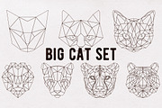 Big cat set