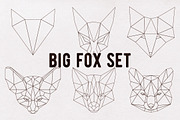 Big fox set