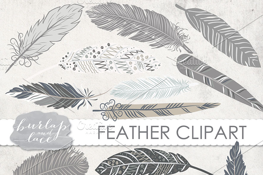 VECTOR/ Hand Drawn clipart feathers in Illustrations - product preview 8