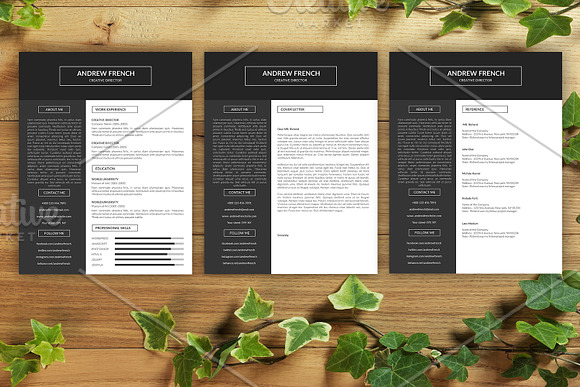 Resume Template | CV Template -V020 in Resume Templates - product preview 3