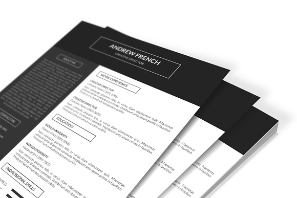 Resume Template | CV Template -V020 in Resume Templates - product preview 4