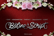 Baline Script Typeface + Bonus
