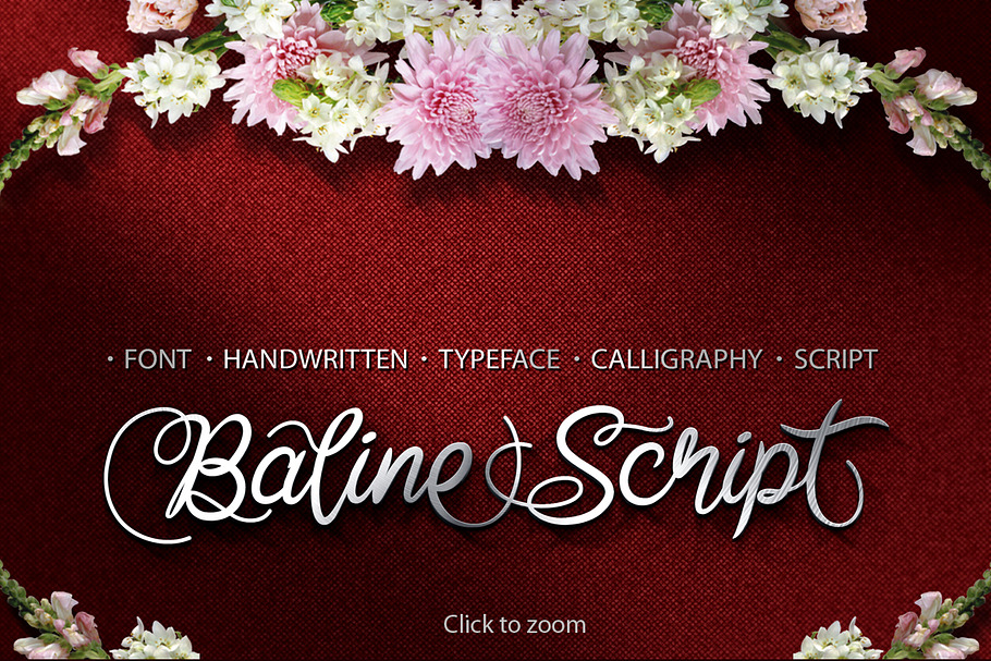 Baline Script Typeface + Bonus in Script Fonts - product preview 8
