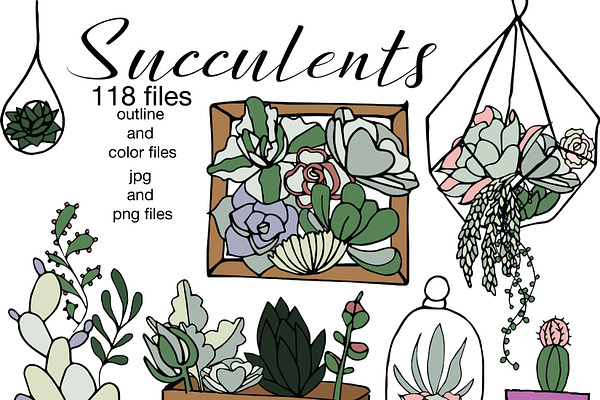 Succulents- outline & color