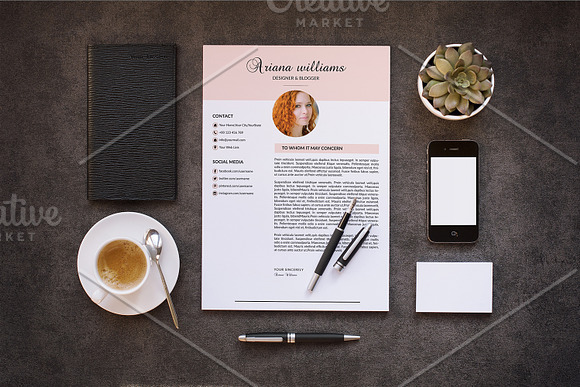 Professional Resume Template-V022 in Resume Templates - product preview 1