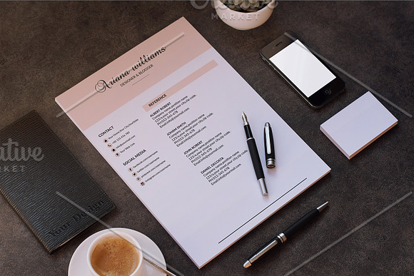 Professional Resume Template-V022 in Resume Templates - product preview 2