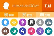 50 Human Anatomy Flat Round Icons