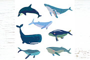 Whales icons and seamless - vectors