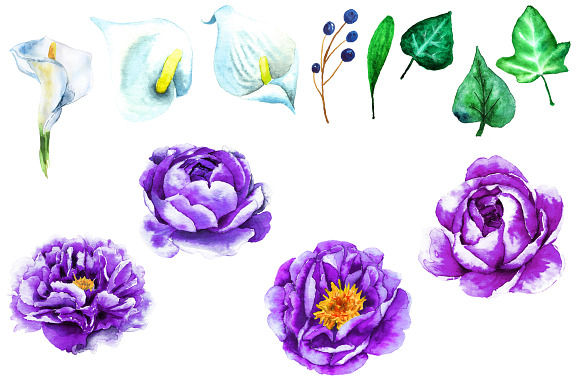 Watercolor Purple & White Flowers in Illustrations - product preview 2