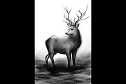 Monochrome winter deer with horns