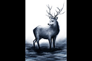 Winter snowy deer with big horns