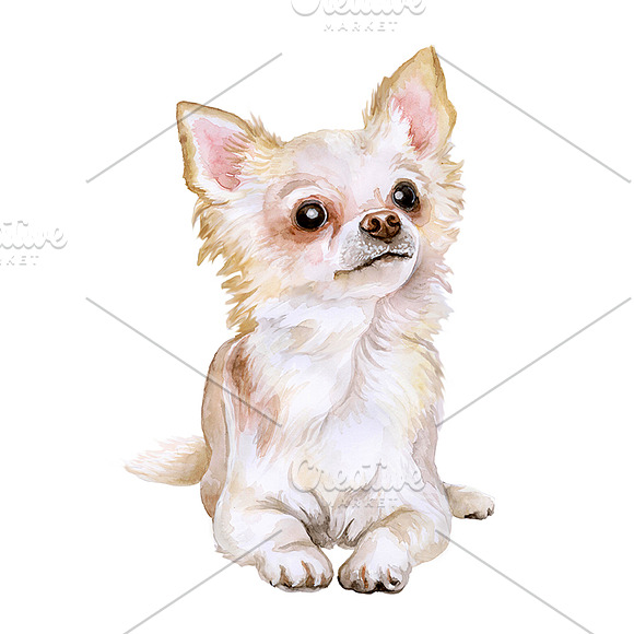 Watercolor Animals Set - DOGS Vol. 2 in Illustrations - product preview 2