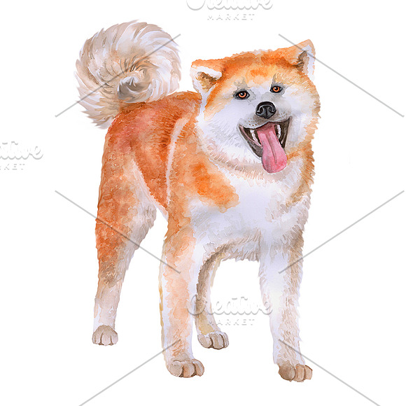 Watercolor Animals Set - DOGS Vol. 2 in Illustrations - product preview 3