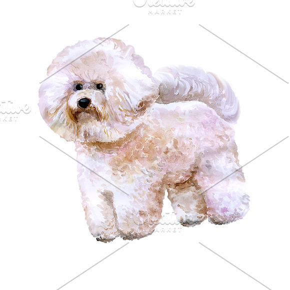 Watercolor Animals Set - DOGS Vol. 4 in Illustrations - product preview 2