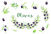 Watercolor Olive Clipart