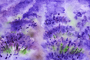 Watercolor lavender fields landscape