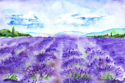Watercolor lavender fields landscape
