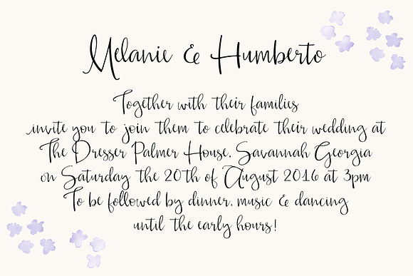 Alouette Modern Calligraphy Font in Calligraphy Fonts - product preview 2