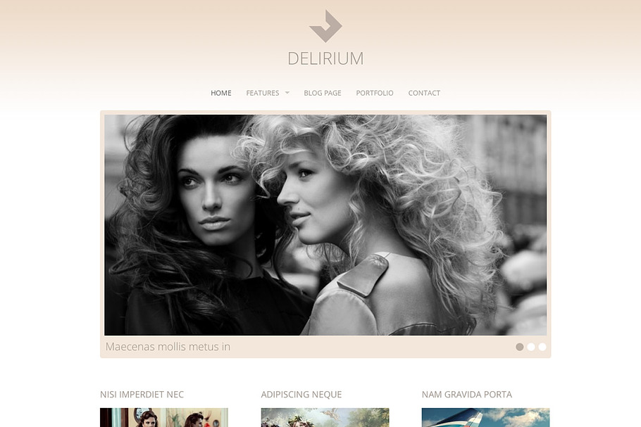 Delirium - Fashion Portfolio Theme in WordPress Wedding Themes - product preview 8