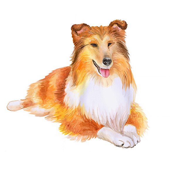 Watercolor Animals Set - DOGS Vol. 5 in Illustrations - product preview 2