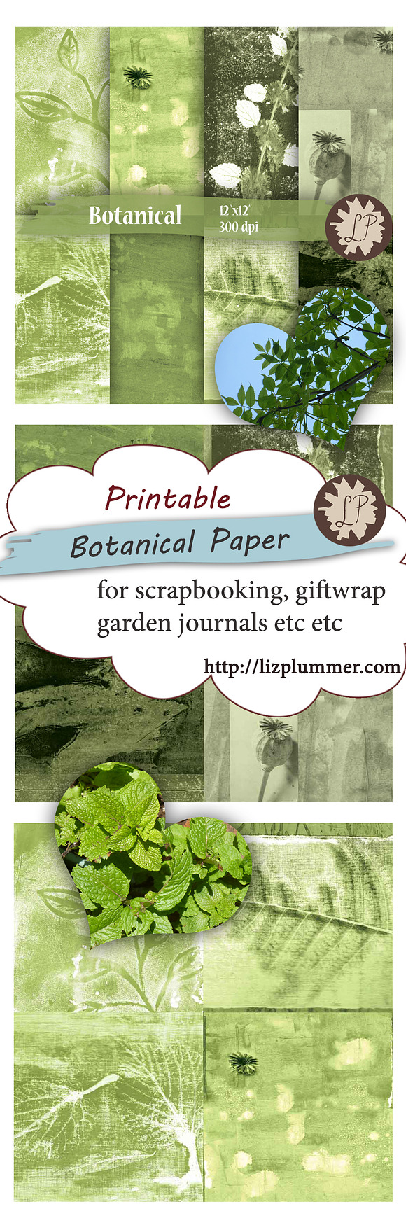Botanical Painted Papers in Patterns - product preview 4