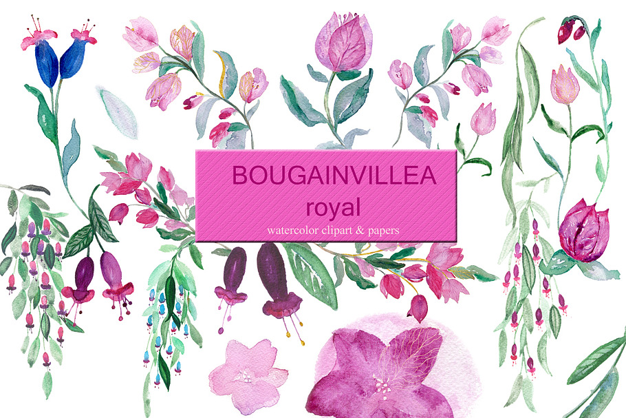 Bougainvillea & fuchsia clipart in Illustrations - product preview 8