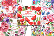 BUNDLE Watercolor floral elements