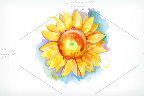 Sunflower watercolor painting vector