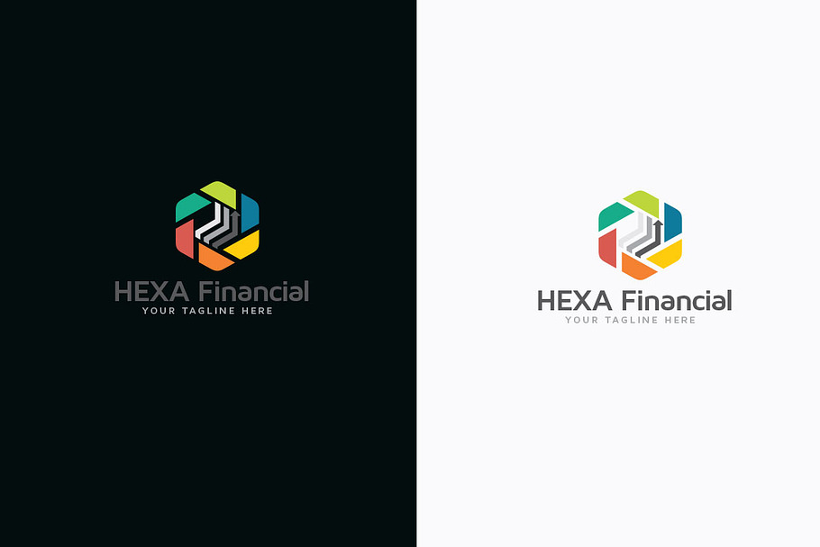 HEXA Financial in Logo Templates - product preview 8