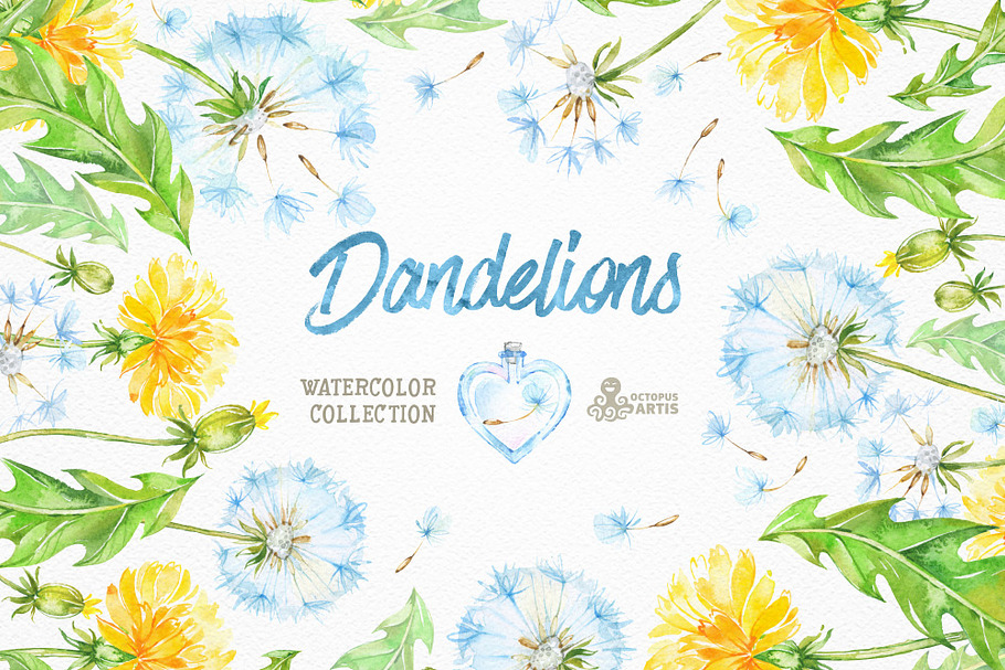Dandelions. Floral Collection