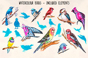 20 Colorful Bird Watercolor Graphics