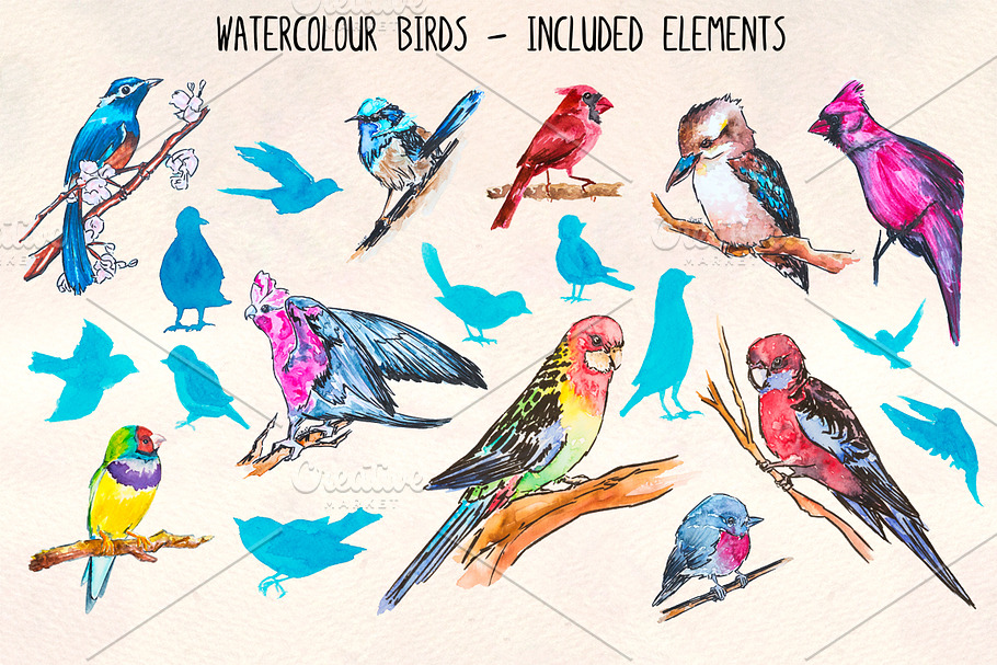 20 Colorful Bird Watercolor Graphics