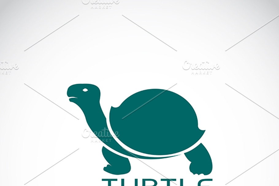 Vector image of an turtle design  in Graphics - product preview 8