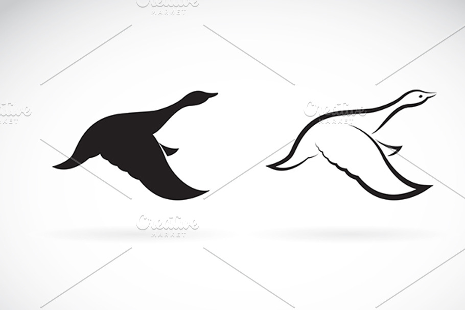 Vector image of an flying wild duck in Graphics - product preview 8