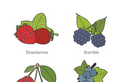 Doodle berries