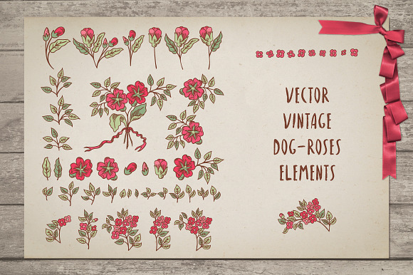 Vintage Dog-Rose vector pack in Patterns - product preview 1