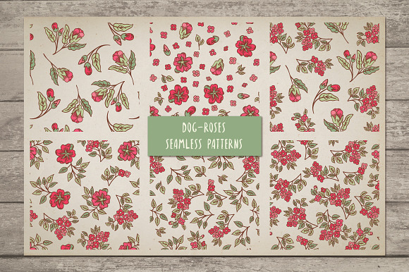 Vintage Dog-Rose vector pack in Patterns - product preview 2