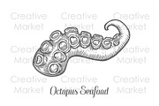 Octopus seafood tentacle hand drawn