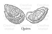 Oysters seafood set hand drawn