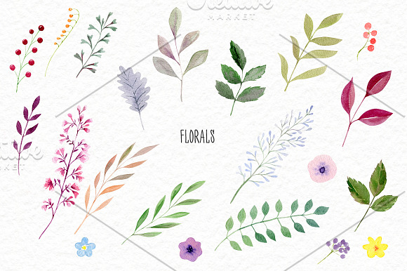 Watercolor roses & florals set in Illustrations - product preview 2