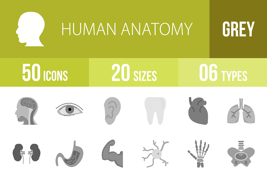 50 Human Anatomy Greyscale Icons