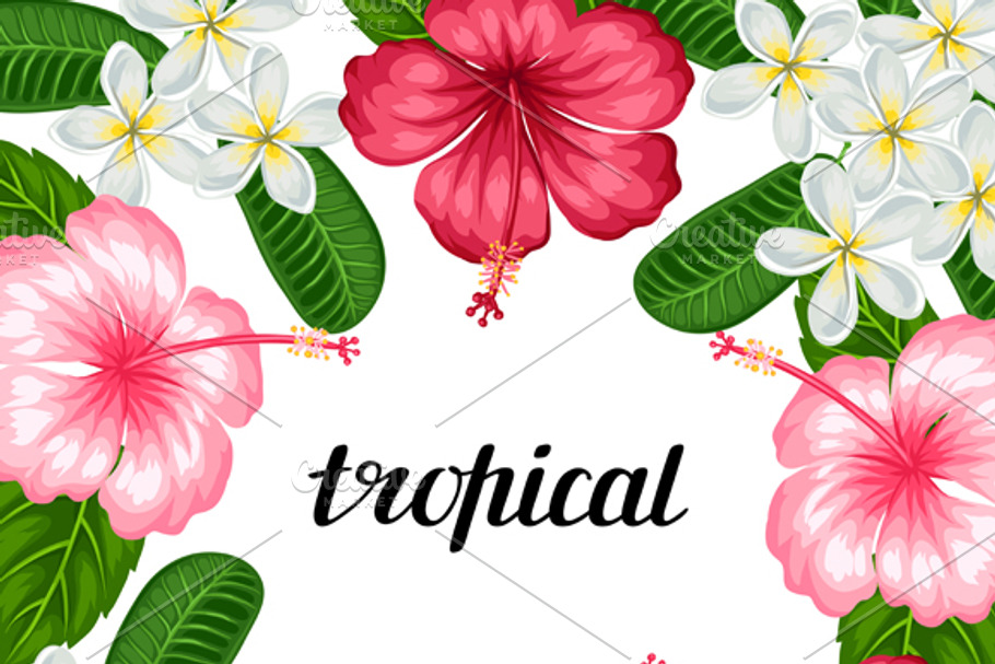 Backgrounds with tropical flowers. in Postcard Templates - product preview 8