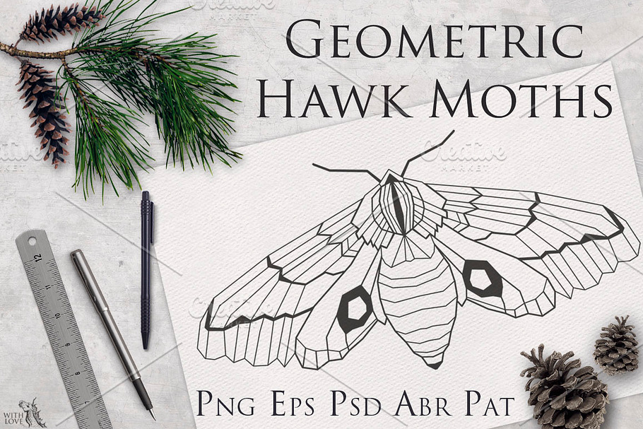 Geometric Hawk Moths