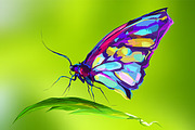 Butterfly ( Insect set. Vector)