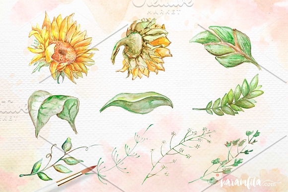 SunFlower Graphic Collection in Illustrations - product preview 1
