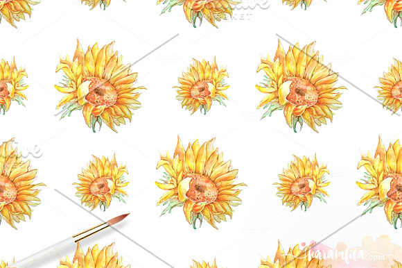 SunFlower Graphic Collection in Illustrations - product preview 6