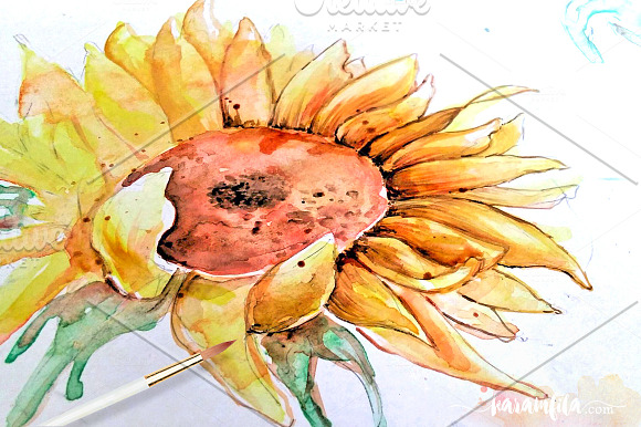 SunFlower Graphic Collection in Illustrations - product preview 10