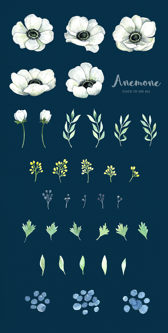 Anemone handpainted floral set in Illustrations - product preview 3