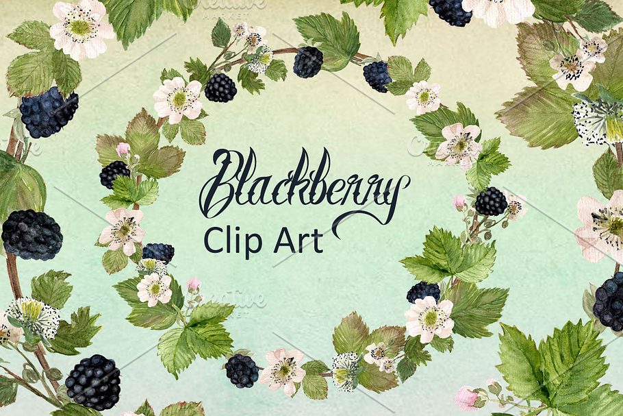 Watercolor Blackberries Clip Art in Objects - product preview 8