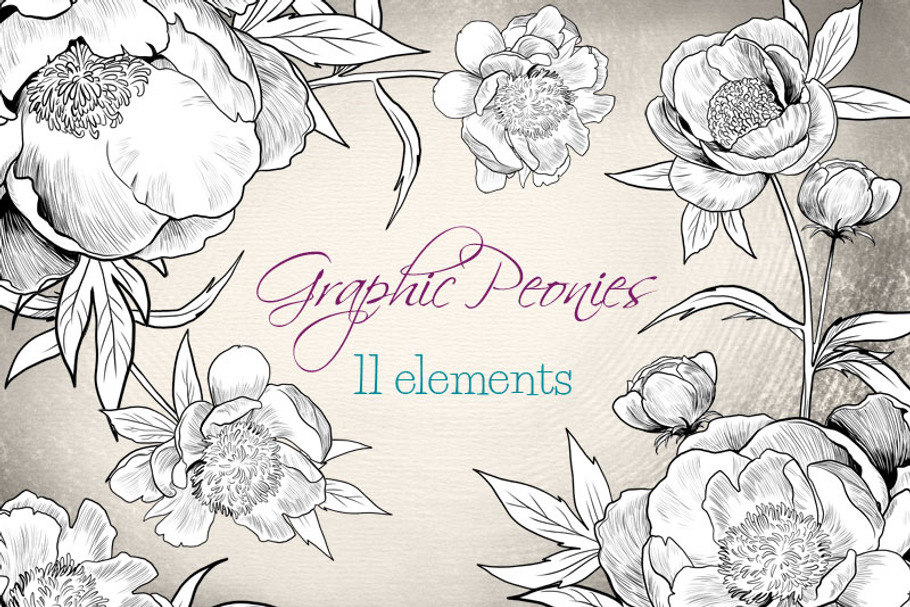 Graphic Peonies - peonies clip art